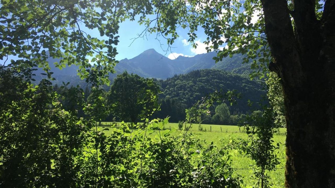 Umgebungsbild Umgebungsbild